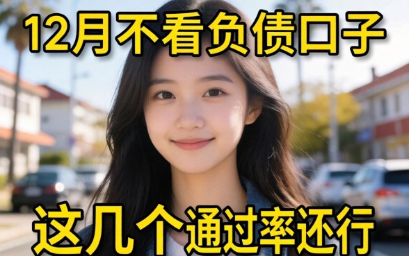 揭秘2026年12月不看负债的口子，这几个通过率还行
