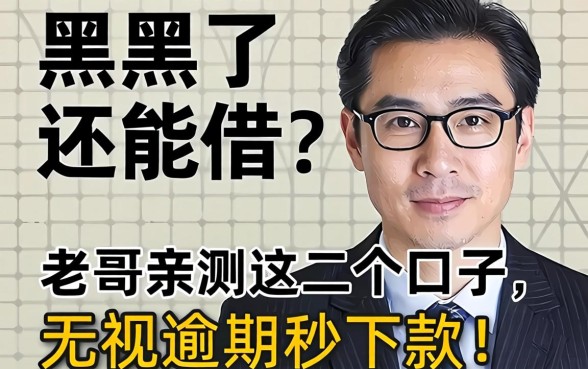 征信黑了还能借?老哥亲测这几个口子,无视逾期秒下款!