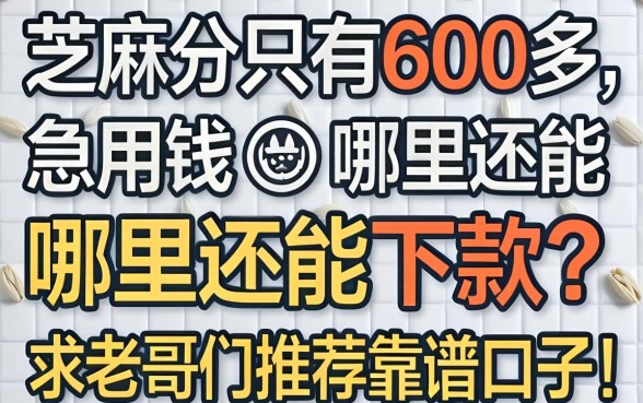 芝麻分只有600多，急用钱哪里还能下款？求老哥们推荐靠谱口子！