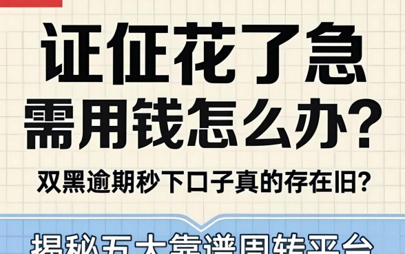 征信花了急需用钱怎么办？双黑逾期秒下口子真的存在吗？揭秘五大靠谱周转平台