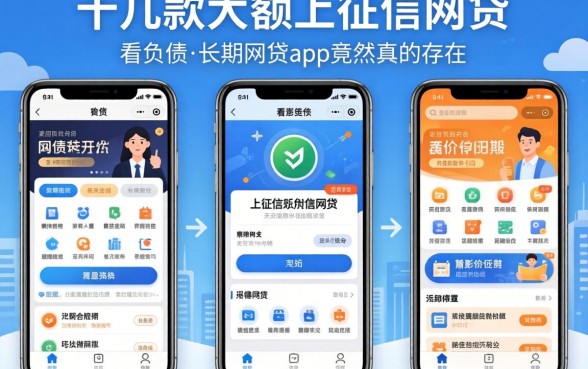 我试了十几款大额上征信的网贷，发现不看负债的长期网贷app竟然真的存在