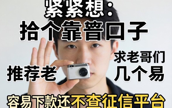 手头紧想找个靠谱口子，求老哥们推荐几个容易下款还不查征信的平台！