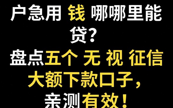 黑户急用钱哪里能贷？盘点五个无视征信大额下款口子，亲测有效！