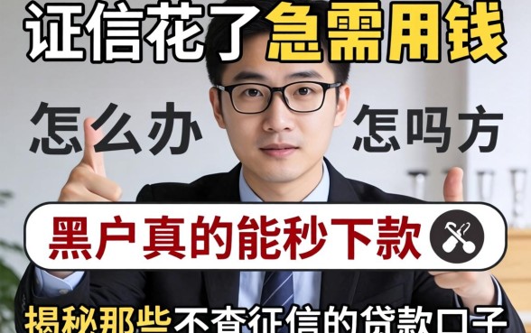 征信花了急需用钱怎么办?黑户真的能秒下款吗?揭秘那些不查征信的贷款口子
