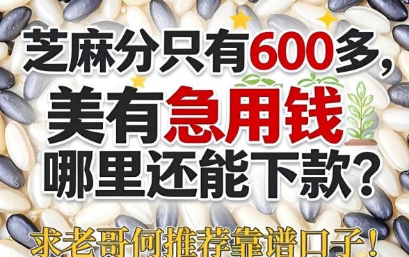 芝麻分只有600多，急用钱哪里还能下款？求老哥们推荐靠谱口子！
