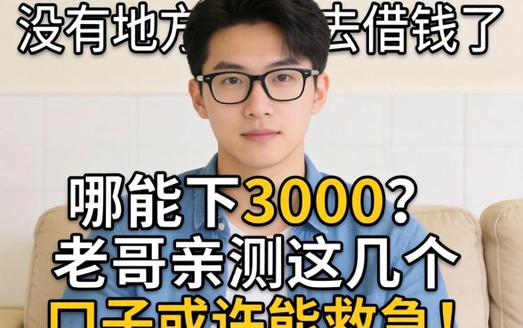 实在没地方去借钱了哪能下3000？老哥亲测这几个口子或许能救急！