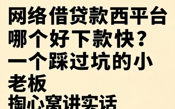 网络借款平台哪个好下款快?一个踩过坑的小老板掏心窝讲实话