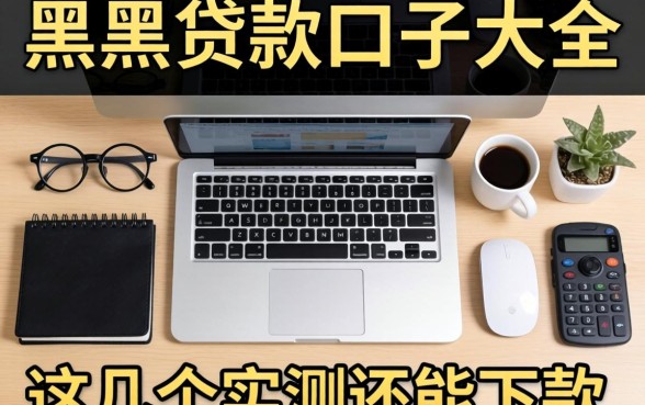 整理了一份网黑贷款口子大全，这几个实测还能下款