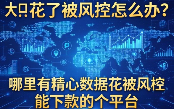 大数据花了被风控怎么办？哪里有精心大数据花被风控能下款的平台？这几个口子靠谱吗？