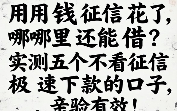 急用钱征信花了哪里还能借？实测五个不看征信极速下款的口子，亲测有效！
