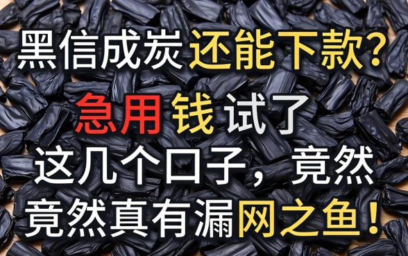 征信黑成炭还能下款？急用钱试了这几个口子，竟然真有漏网之鱼！