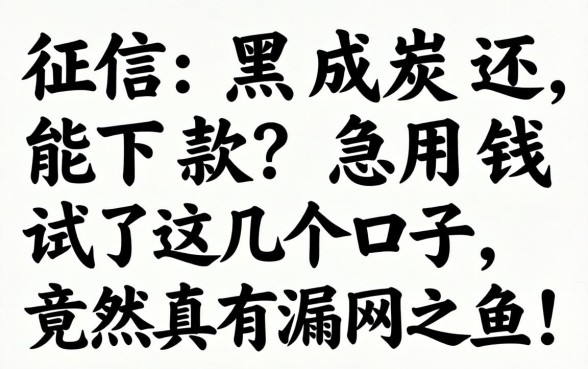 征信黑成炭还能下款？急用钱试了这几个口子，竟然真有漏网之鱼！