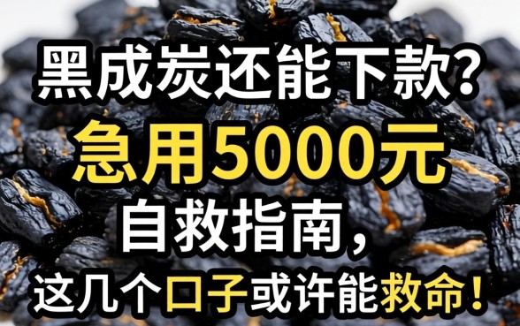 征信黑成炭还能下款？急用5000元自救指南，这几个口子或许能救命！