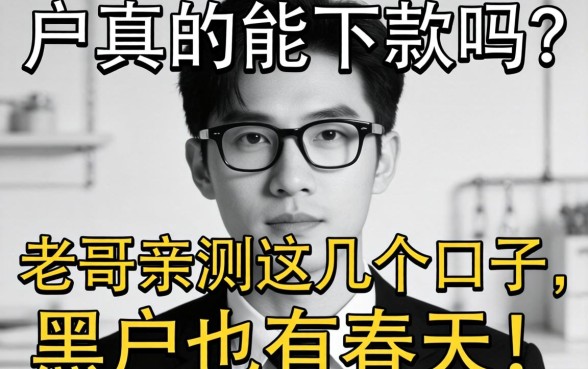 无视黑白户真的能下款吗?老哥亲测这几个口子,黑户也有春天!