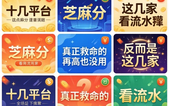 我试了十几个平台，发现芝麻分再高也没用，真正救命的反而是这几家看流水的