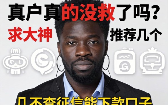 黑户真的没救了吗?求大神推荐几个不查征信能下款的口子!