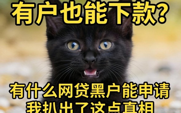 黑户也能下款？有什么网贷黑户能申请，我扒出了这点真相
