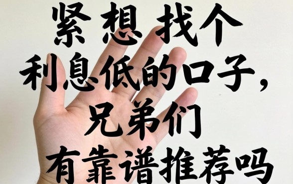 手头紧想找个利息低的口子,兄弟们有靠谱推荐吗?