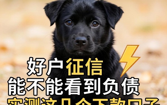 黑户征信能不能看到负债？实测这几个下款口子