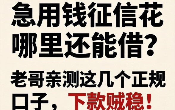 急用钱征信花哪里还能借?老哥亲测这几个正规口子,下款贼稳!