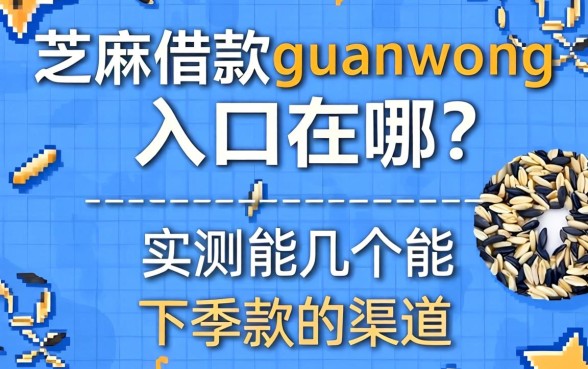 芝麻借款guanwang入口在哪？分享几个实测能下款的渠道
