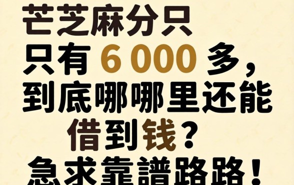 芝麻分只有600多，到底哪里还能借到钱？急求靠谱路子！
