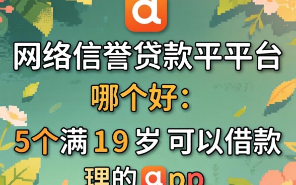 网络信誉贷款平台哪个好，理出5个满19岁可以借款的app