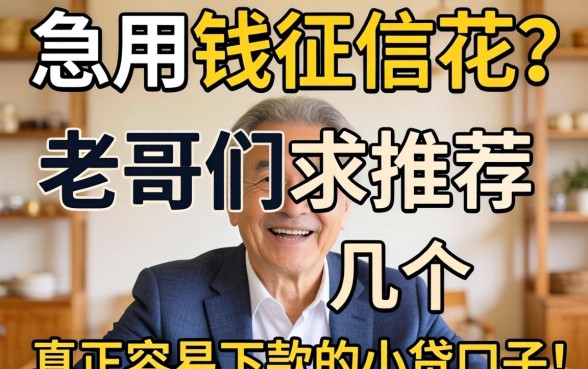急用钱征信花？老哥们求推荐几个真正容易下款的小贷口子！