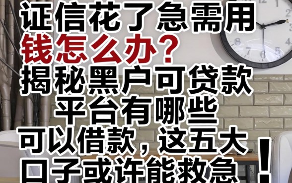 征信花了急需用钱怎么办？揭秘黑户可贷款平台有哪些可以借款，这五大口子或许能救急！