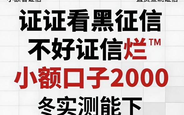 征信黑征信不好征信烂小额口子2000，这几个实测能下