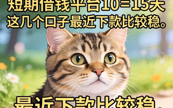 短期借钱平台10至15天,这几个口子最近下款比较稳