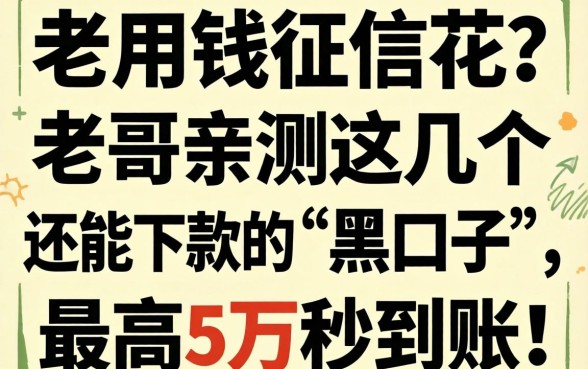 急用钱征信花？老哥亲测这几个还能下款的“黑口子”，最高5万秒到账！