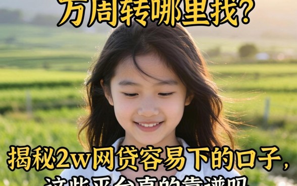 急需两万周转哪里找?揭秘2w网贷容易下的口子,这些平台真的靠谱吗?