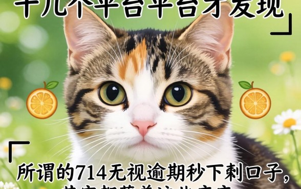 我试了十几个平台才发现,所谓的714无视逾期秒下的口子,其实都藏着这些猫腻