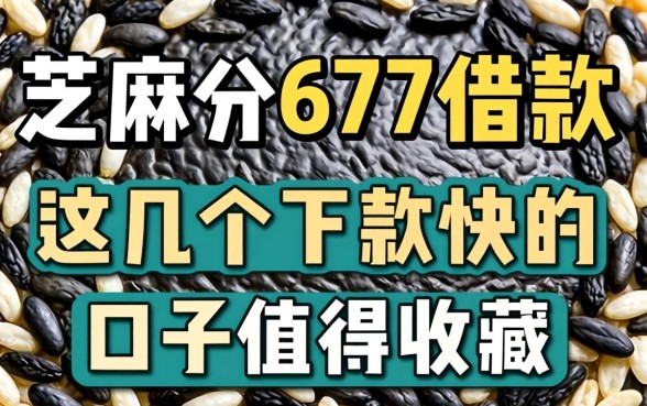 芝麻分677借款:这几个下款快的口子值得收藏