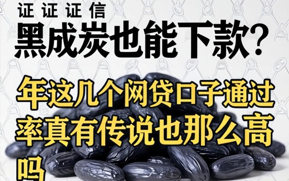 征信黑成炭也能下款？2026年这几个网贷口子通过率真有传说中那么高吗？