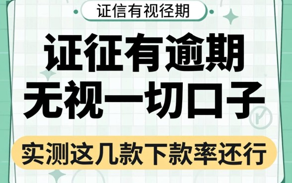 征信有逾期2026无视一切的口子,实测这几款下款率还行