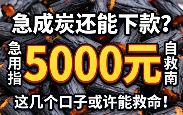 征信黑成炭还能下款？急用5000元自救指南，这几个口子或许能救命！