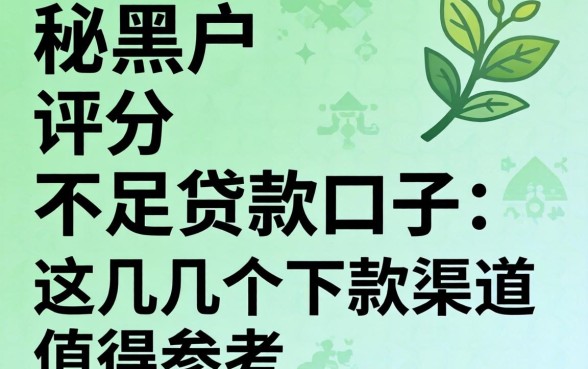 揭秘黑户评分不足贷款口子：这几个下款渠道值得参考