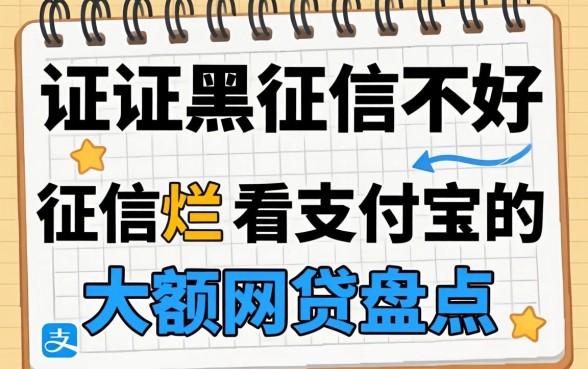 征信黑征信不好征信烂不看支付宝的大额网贷盘点