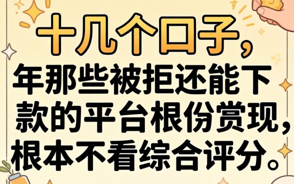 我试了十几个口子，发现2026年那些被拒还能下款的平台根本不看综合评分