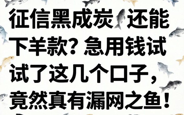 征信黑成炭还能下款？急用钱试了这几个口子，竟然真有漏网之鱼！