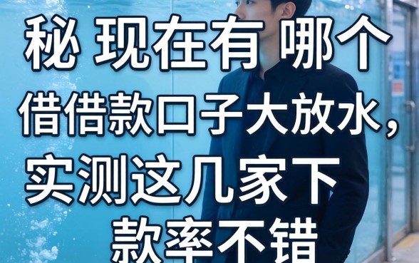 揭秘现在有哪个借款口子大放水，实测这几家下款率不错