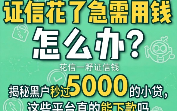 征信花了急需用钱怎么办？揭秘黑户秒过5000的小贷，这些平台真的能下款吗？