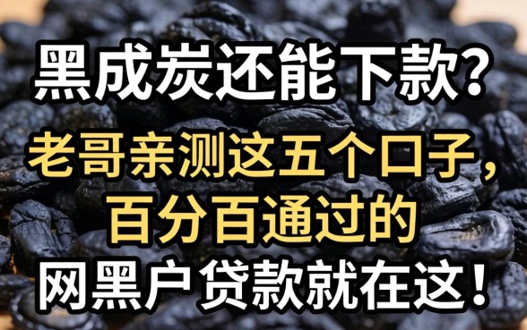 征信黑成炭还能下款？老哥亲测这五个口子，百分百通过的网黑户贷款就在这！