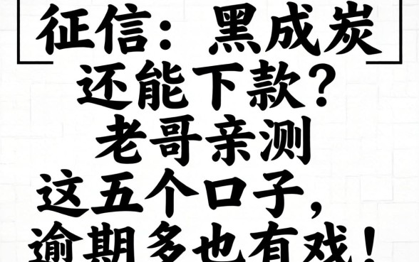 征信黑成炭还能下款?老哥亲测这五个口子,逾期多也有戏!