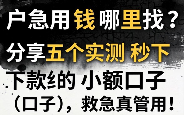 黑户急用钱哪里找？分享五个实测秒下款的小额口子，救急真管用！