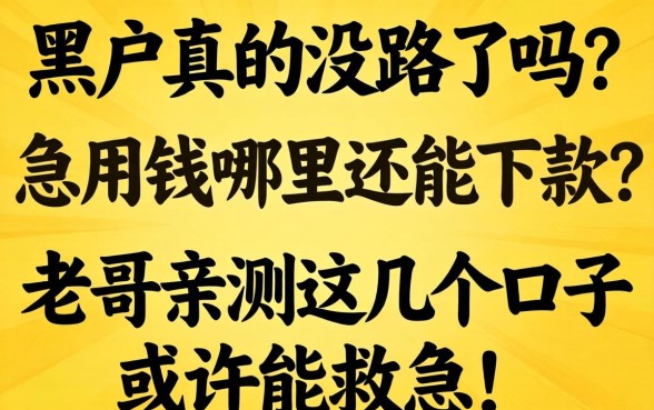 黑户真的没路了吗？急用钱哪里还能下款？老哥亲测这几个口子或许能救急！