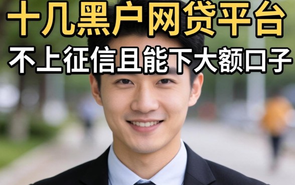 我试了十几个黑户网贷平台，发现不上征信且能下大额口子的真相