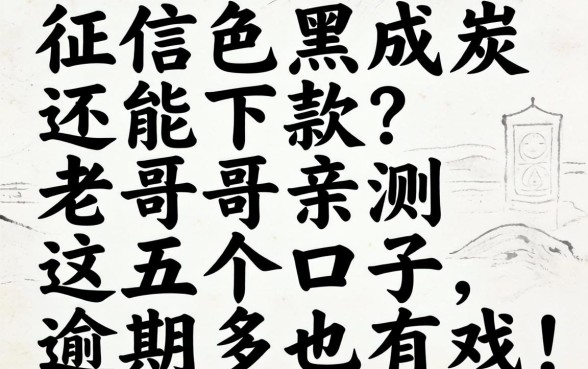 征信黑成炭还能下款?老哥亲测这五个口子,逾期多也有戏!